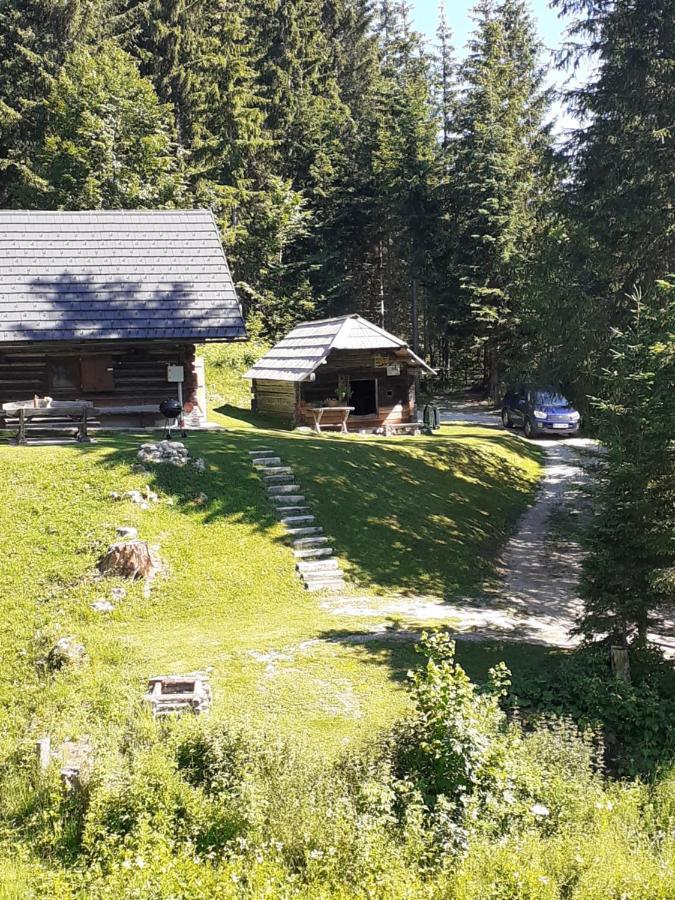 Brunarica Na Goreljeku Бохінь Екстер'єр фото